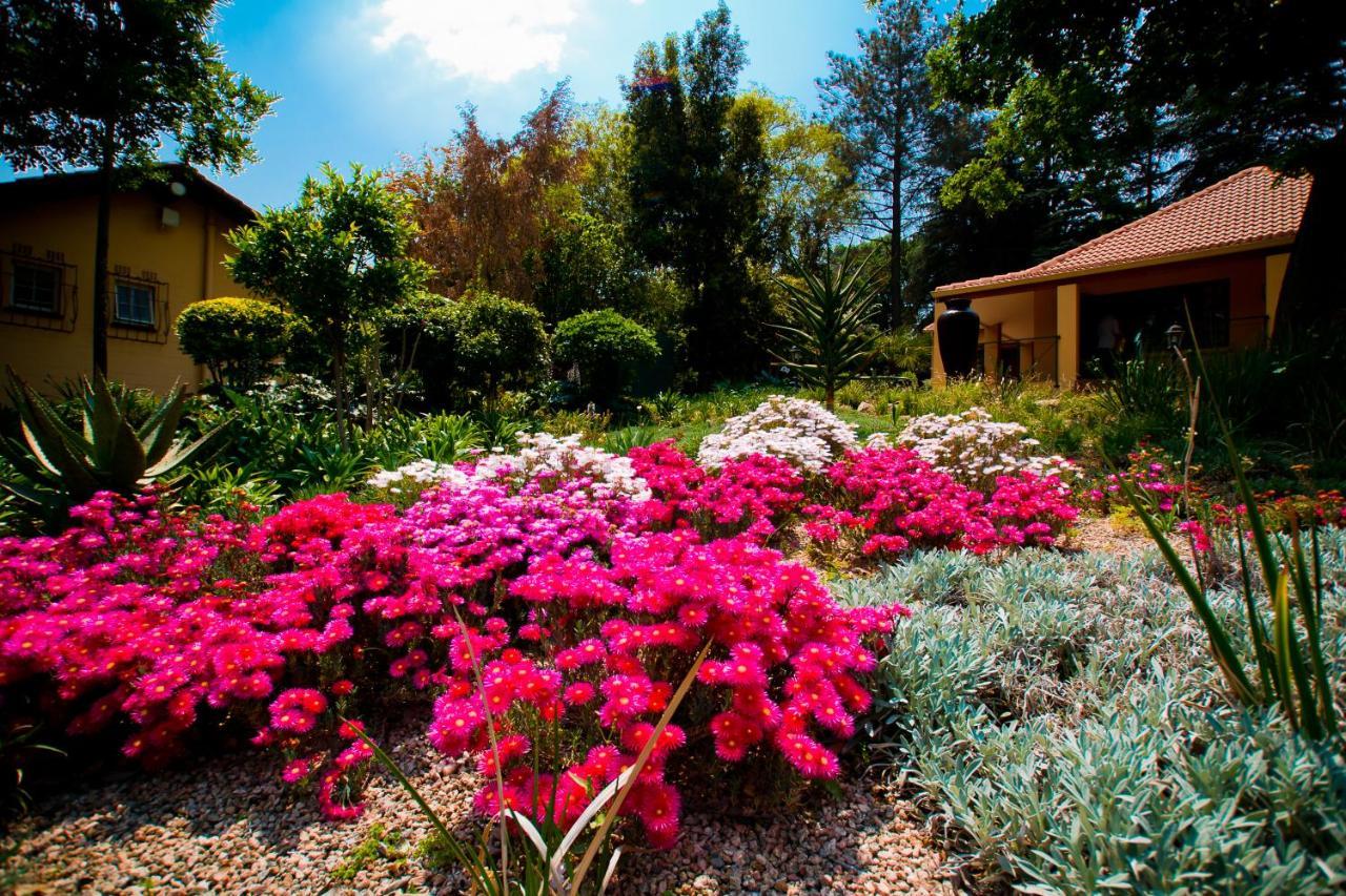 Little Tuscany Boutique Hotel Γιοχάνεσμπουργκ Εξωτερικό φωτογραφία