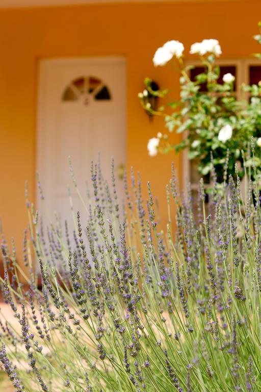 Little Tuscany Boutique Hotel Γιοχάνεσμπουργκ Εξωτερικό φωτογραφία